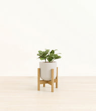 Load image into Gallery viewer, Natural Bamboo stand:bamboo