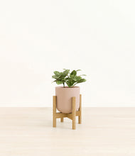 Load image into Gallery viewer, Sandy Pink stand:bamboo