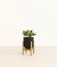 Load image into Gallery viewer, Stone Black stand:bamboo