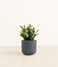 Load image into Gallery viewer, Iron Gray*****Profile