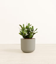 Load image into Gallery viewer, Sage Green*****Profile