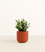 Load image into Gallery viewer, Earth Red*****Profile