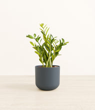 Load image into Gallery viewer, Iron Gray*****Profile