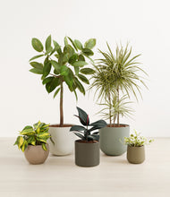 Load image into Gallery viewer, Woodland*****Profile