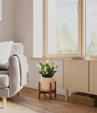 Load image into Gallery viewer, Gentle Pink stand:walnut