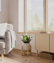 Load image into Gallery viewer, Eternal Gray stand:bamboo