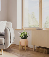 Load image into Gallery viewer, Gentle Pink stand:bamboo