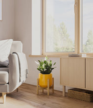 Load image into Gallery viewer, Mustard stand:bamboo