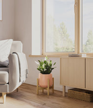 Load image into Gallery viewer, Calm Rose stand:bamboo