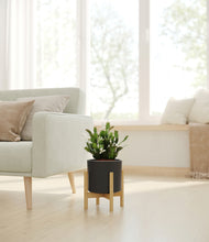 Load image into Gallery viewer, Black stand:bamboo