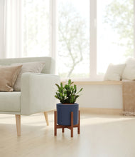 Load image into Gallery viewer, Deep Navy stand:walnut