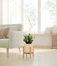 Load image into Gallery viewer, Cream stand:bamboo