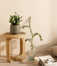 Load image into Gallery viewer, Olive