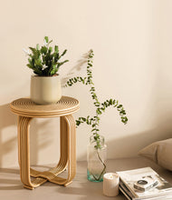 Load image into Gallery viewer, Almond Green