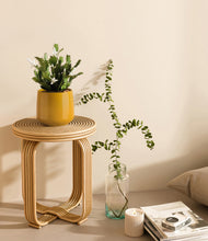 Load image into Gallery viewer, Mustard