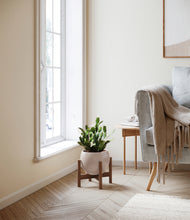 Load image into Gallery viewer, Desert Brown stand:walnut