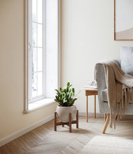 Load image into Gallery viewer, Winter Clouds stand:walnut