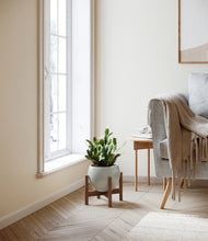 Load image into Gallery viewer, Deep Ocean stand:walnut