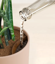 Load image into Gallery viewer, Sandy Pink stand:all