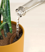 Load image into Gallery viewer, Sunset Orange stand:all