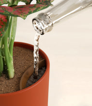 Load image into Gallery viewer, Earth Red stand:all