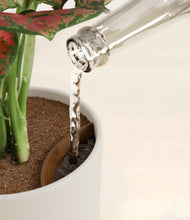 Load image into Gallery viewer, Natural Bamboo stand:all