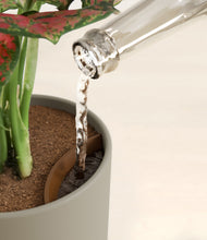 Load image into Gallery viewer, Sage Green stand:all