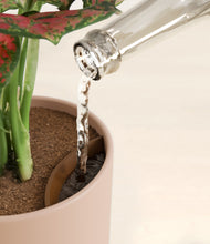 Load image into Gallery viewer, Sandy Pink stand:all