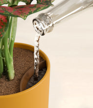 Load image into Gallery viewer, Sunset Orange stand:all