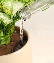 Load image into Gallery viewer, Almond Green stand:all