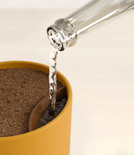 Load image into Gallery viewer, Sunset Orange stand:all