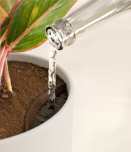 Load image into Gallery viewer, Natural Bamboo stand:all