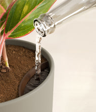 Load image into Gallery viewer, Sage Green stand:all