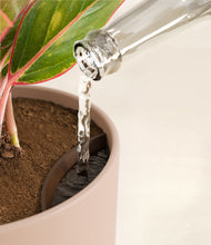 Load image into Gallery viewer, Sandy Pink stand:all