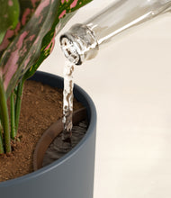 Load image into Gallery viewer, Iron Gray stand:all