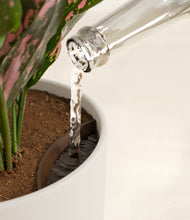 Load image into Gallery viewer, Natural Bamboo stand:all