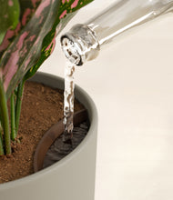 Load image into Gallery viewer, Sage Green stand:all