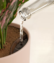 Load image into Gallery viewer, Sandy Pink stand:all