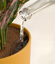 Load image into Gallery viewer, Sunset Orange stand:all