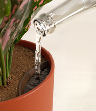 Load image into Gallery viewer, Earth Red stand:all