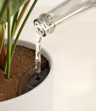 Load image into Gallery viewer, Natural Bamboo stand:all