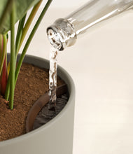 Load image into Gallery viewer, Sage Green stand:all