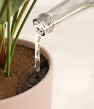 Load image into Gallery viewer, Sandy Pink stand:all