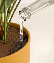 Load image into Gallery viewer, Sunset Orange stand:all