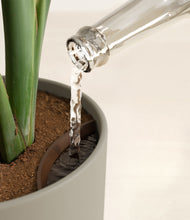 Load image into Gallery viewer, Sage Green stand:all