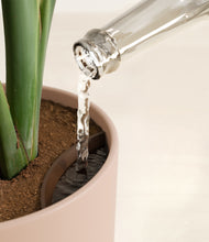 Load image into Gallery viewer, Sandy Pink stand:all