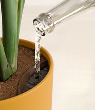 Load image into Gallery viewer, Sunset Orange stand:all