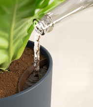 Load image into Gallery viewer, Iron Gray stand:all