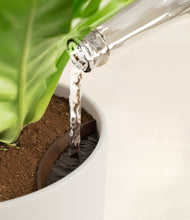 Load image into Gallery viewer, Natural Bamboo stand:all