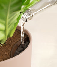 Load image into Gallery viewer, Sandy Pink stand:all